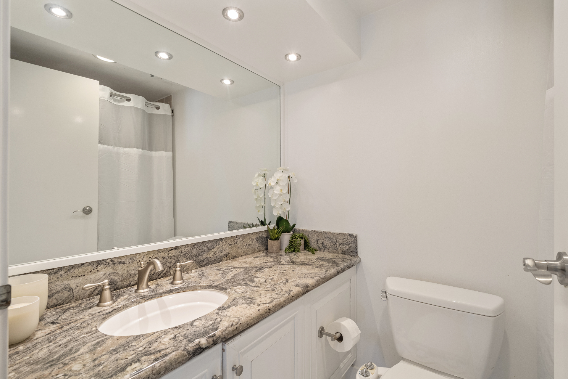 Guest Bathroom — Granite Vanity